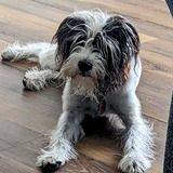 Entry image for Trig