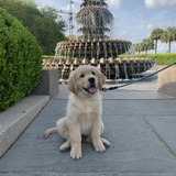 Entry image for Charlie