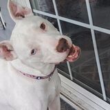 Entry image for Ellie Mae