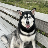 Entry image for Kona