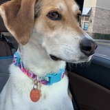 Entry image for Whiskey