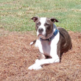 Entry image for Banks