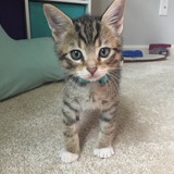 Entry image for Alex