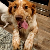 Entry image for Eleven