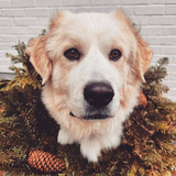 Entry image for Andorra