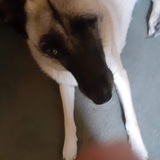 Entry image for Molly Rose