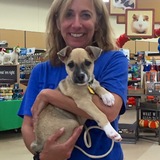 Entry image for Nola