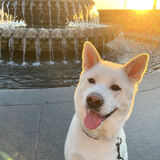 Entry image for Osiris