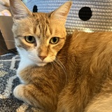 Entry image for Edisto