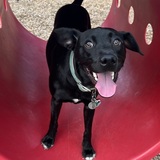 Entry image for Asher