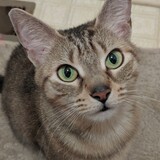 Entry image for Jasper 