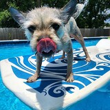 Entry image for Penny