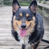 Entry image for Jasper