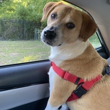 Entry image for Wimbledon 