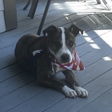 Entry image for Ashley