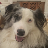 Entry image for Luna