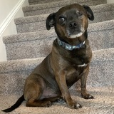 Entry image for Oliver