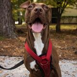 Entry image for Vida