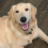 Entry image for Honey