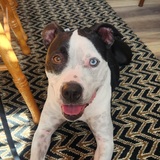 Entry image for Cress (aka Mimi)