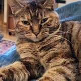 Entry image for Jenny Jones