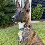 Entry image for Sailor