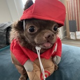 Entry image for Beatrice 