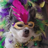 Entry image for Ellie May Love