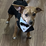 Entry image for Pontchartrain