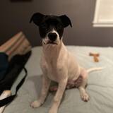 Entry image for Finley 