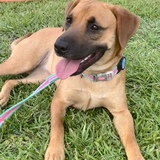 Entry image for Daisy