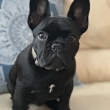 Entry image for Eddy Young 