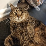 Entry image for Capt. Jack