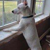 Entry image for Lucy