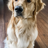 Entry image for Esso Howard