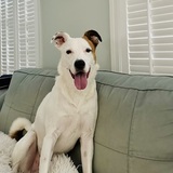 Entry image for Charlie