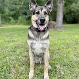 Entry image for Axel