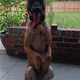 Entry image for Ramsey