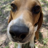 Entry image for Reggie