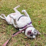 Entry image for Ashley