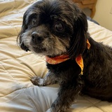 Entry image for Jessie