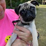 Entry image for Mika Senrika Morris