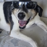 Entry image for Jerry