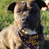 Entry image for Juno