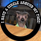 Entry image for Dilly