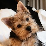 Entry image for Keegan 