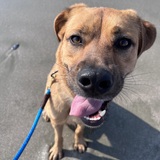 Entry image for Thor