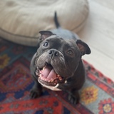 Entry image for REGGIE