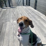 Entry image for Emma