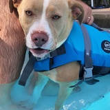 Entry image for Colby